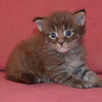 Hubert
