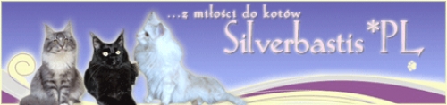 Silverbastis